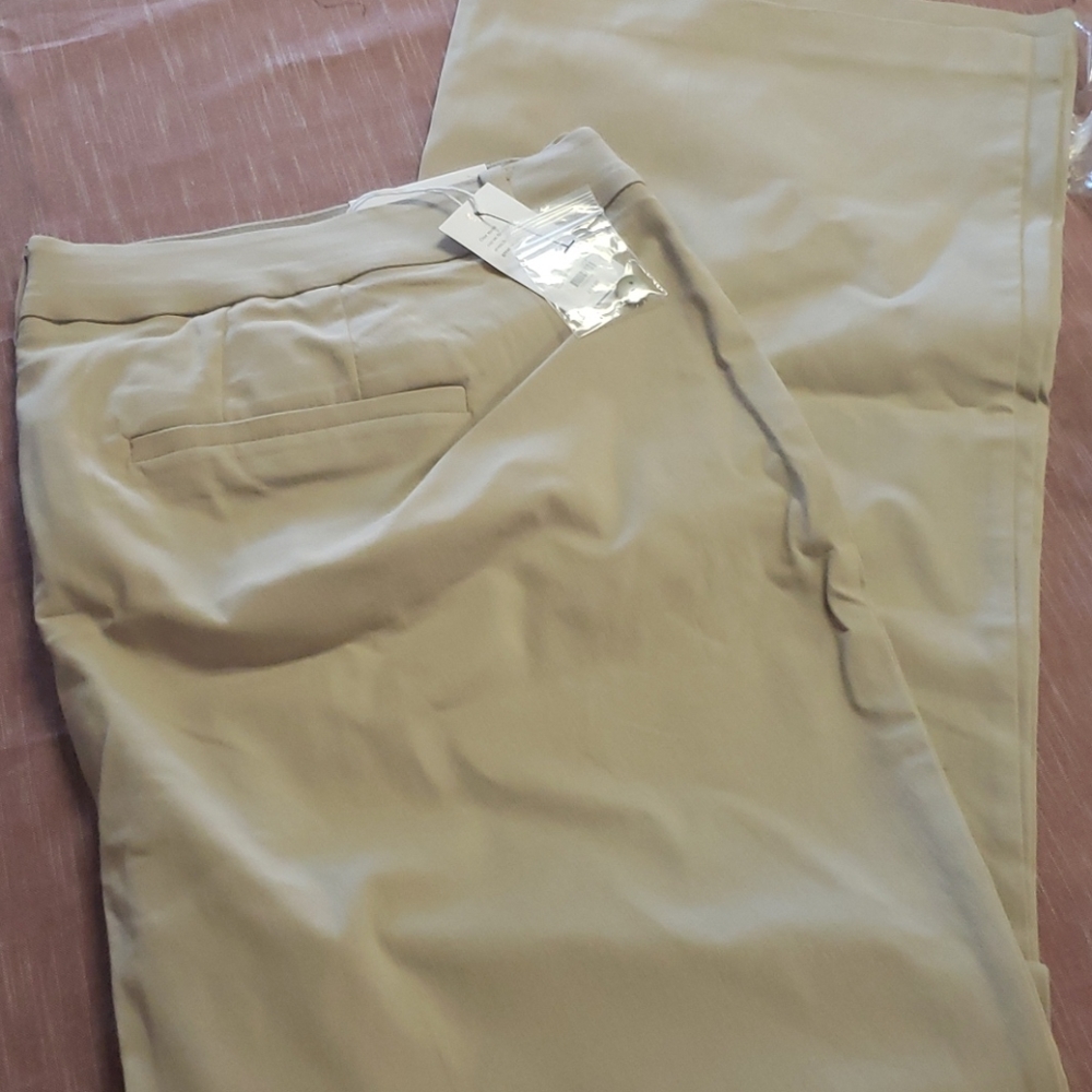 Dress pants